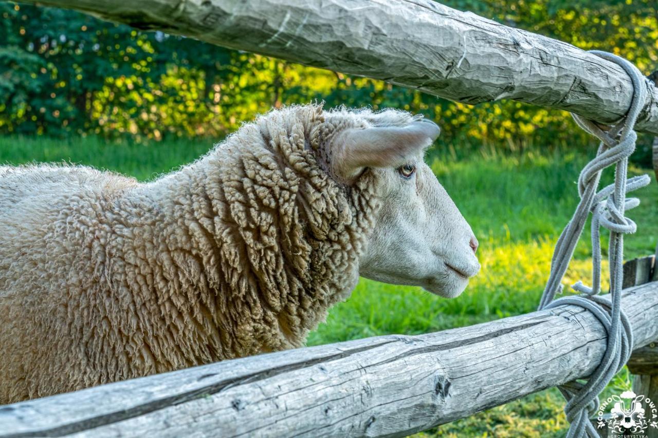 Agroturystyka Corno Owca Zabnica Buitenkant foto